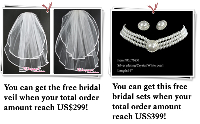 Wedding Gifts Bridal Party on Name Desmont Lace Elegant Bridal Wedding Party Dress Free Gift